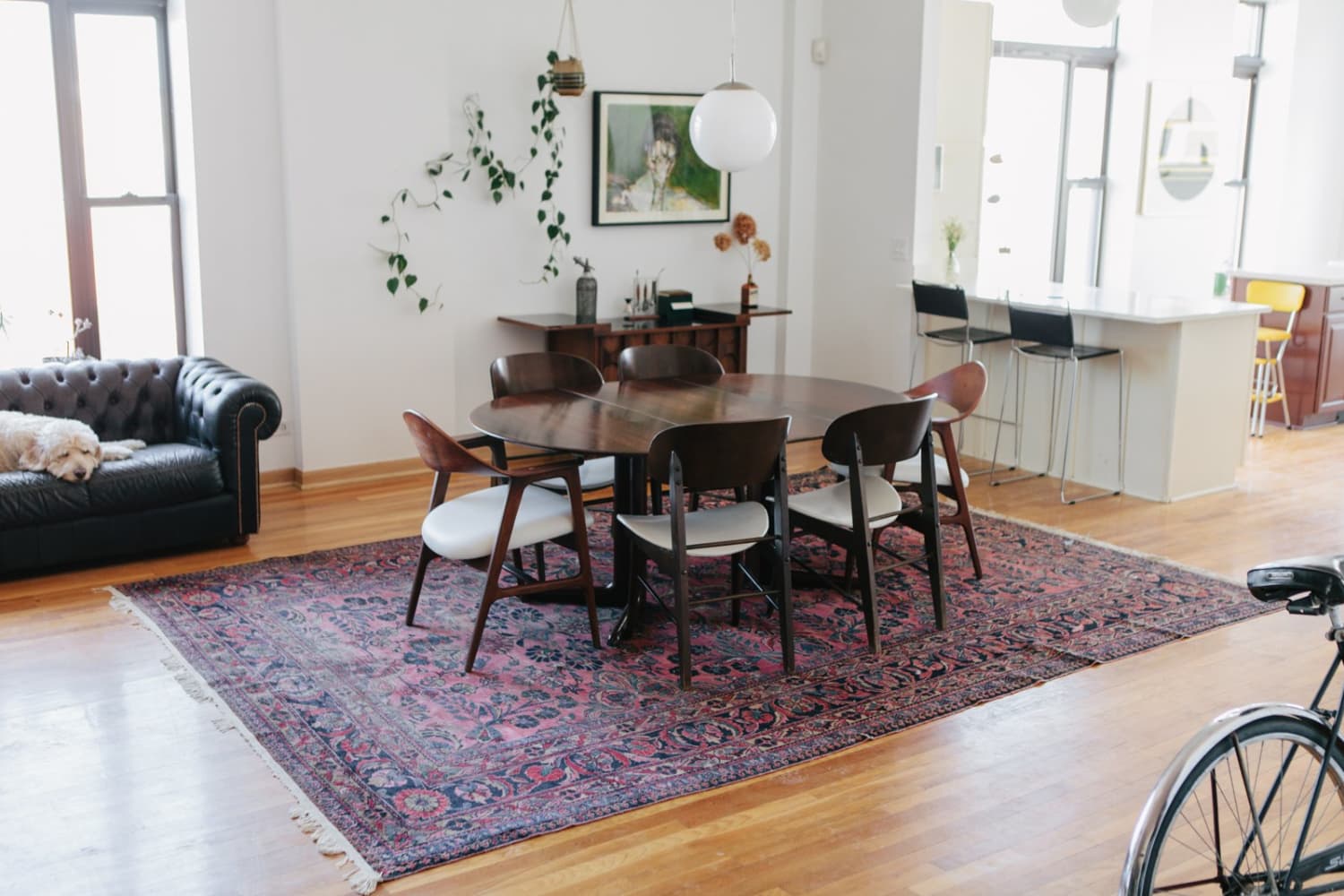 The Best Dried Flowers for Your Home Decor Dried Flower Arrangements